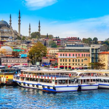turkey3